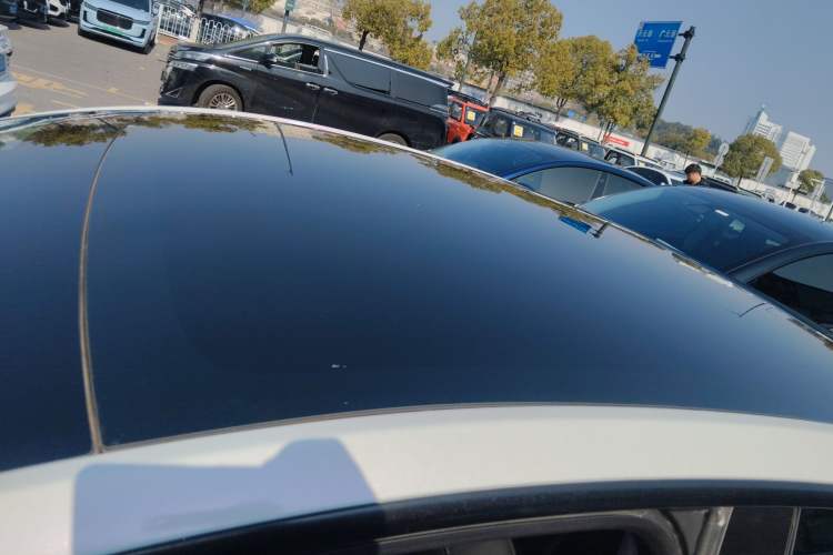 Used Tesla Model Y 2021 Standard Range Rear-Wheel Drive Version Roof