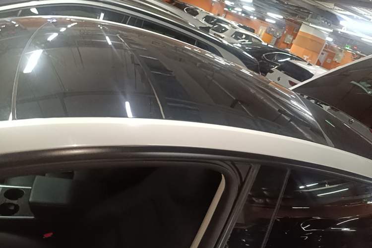 Used Tesla Model Y 2021 Standard Range Rear-Wheel Drive Version Roof