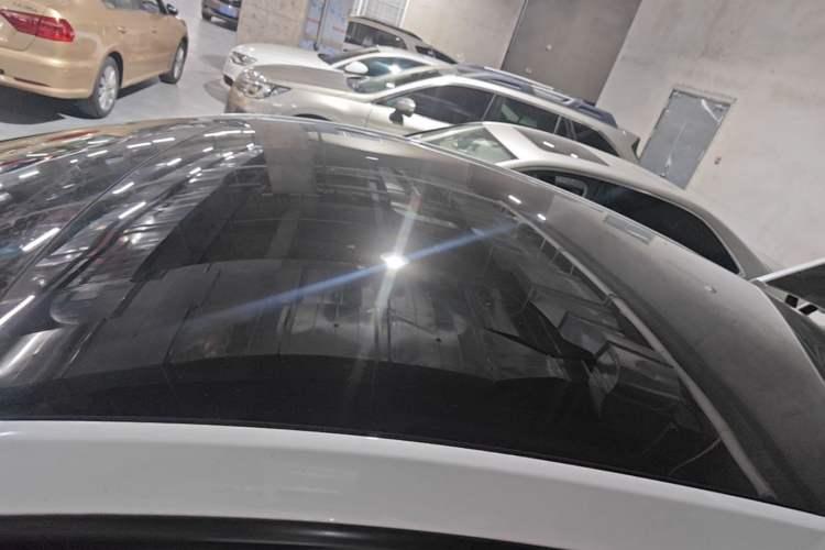 Used Tesla Model Y 2021 Standard Range Rear-Wheel Drive Version Roof