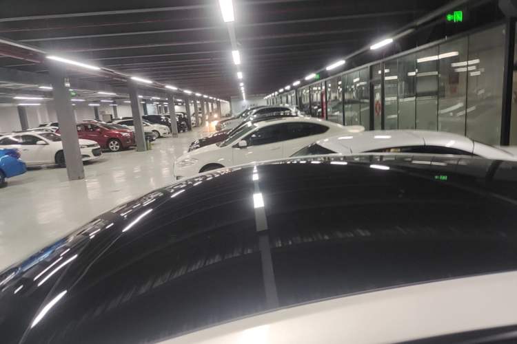 Used Tesla Model Y 2021 Long-Range All-Wheel-Drive Version 3D7 Roof