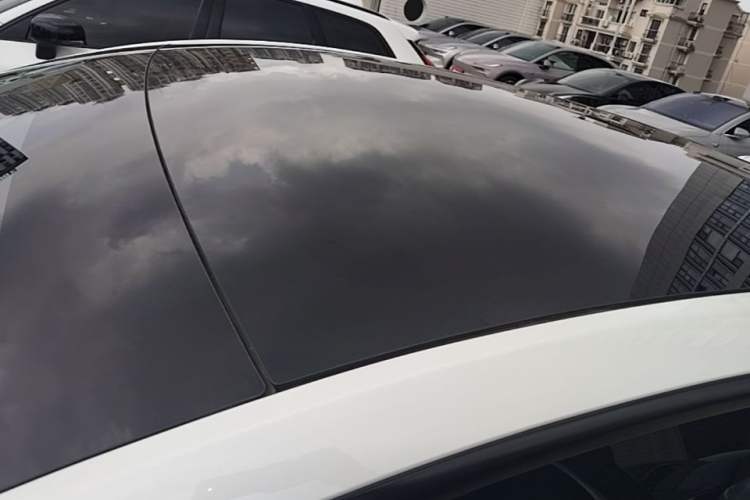 Used Tesla Model Y 2021 Standard Range Rear-Wheel Drive Version Roof