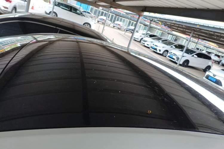 Used Tesla Model Y 2021 Standard Range Rear-Wheel Drive Version Roof