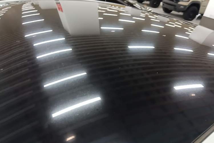 Used Tesla Model Y 2021 Standard Range Rear-Wheel Drive Version Roof