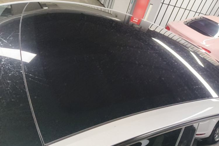 Used Tesla Model Y 2021 Long-Range All-Wheel-Drive Version Roof