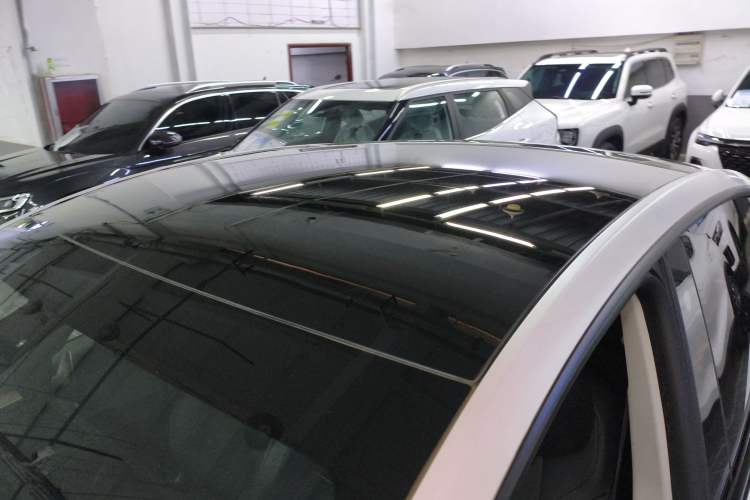 Used Tesla Model Y 2021 Standard Range Rear-Wheel Drive Version Roof