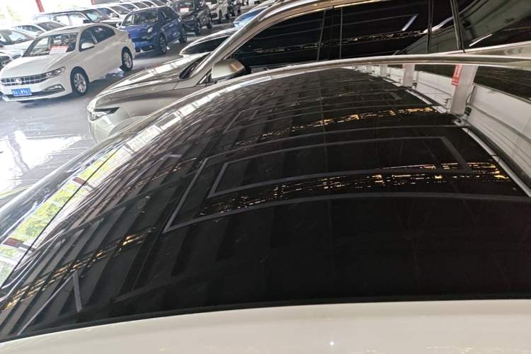 Used Tesla Model Y 2021 Standard Range Rear-Wheel Drive Version Roof