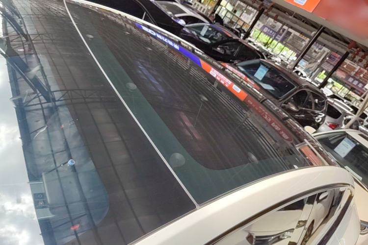Used Tesla Model Y 2021 Standard Range Rear-Wheel Drive Version Roof