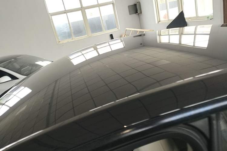 Used Tesla Model Y 2021 Standard Range Rear-Wheel Drive Version Roof
