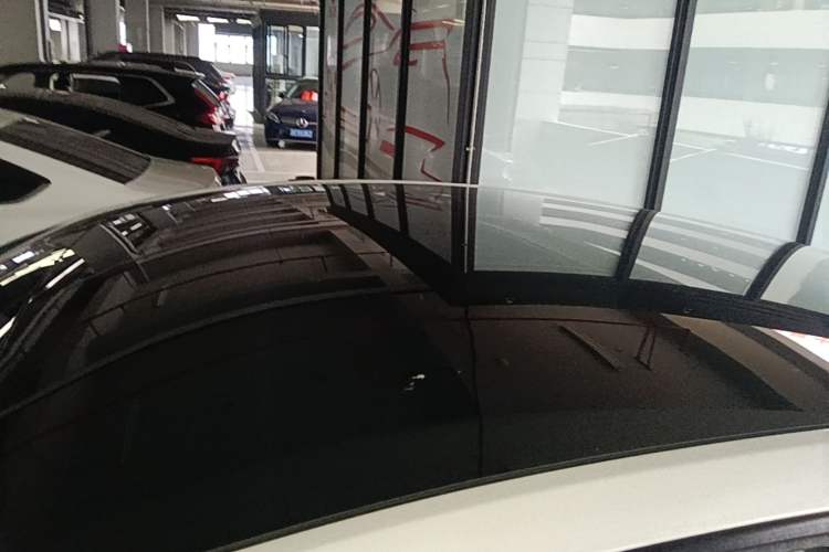 Used Tesla Model Y 2021 Standard Range Rear-Wheel Drive Version Roof