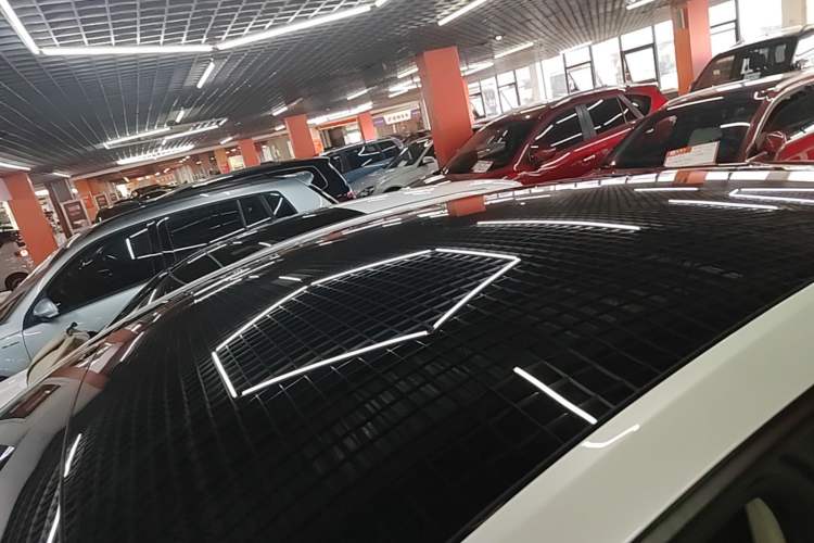 Used Tesla Model Y 2021 Long-Range All-Wheel-Drive Version Roof