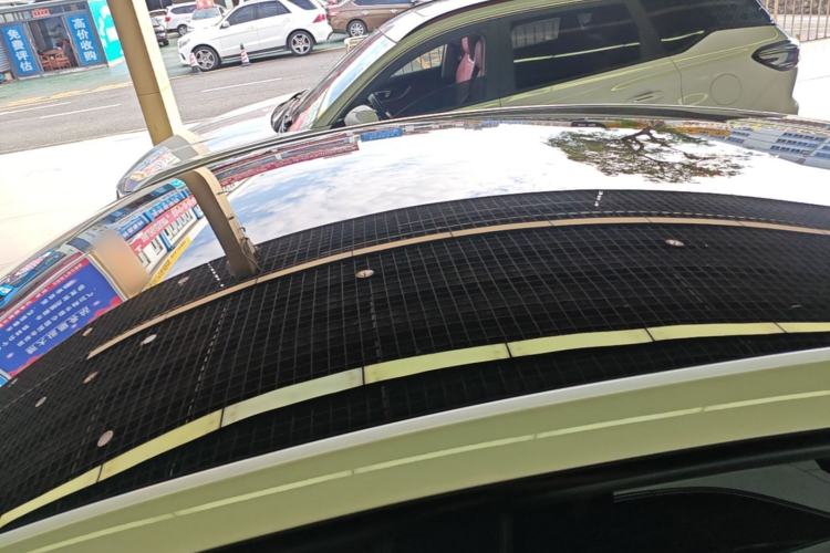 Used Tesla Model Y 2021 Performance High-Performance All-Wheel-Drive Version Roof
