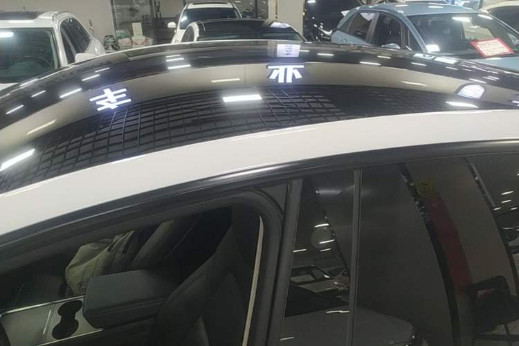 Used Tesla Model Y 2021 Long-Range All-Wheel-Drive Version Roof