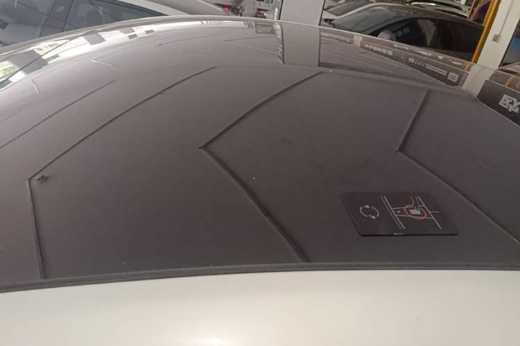 Used Tesla Model Y 2021 Long-Range All-Wheel-Drive Version Roof