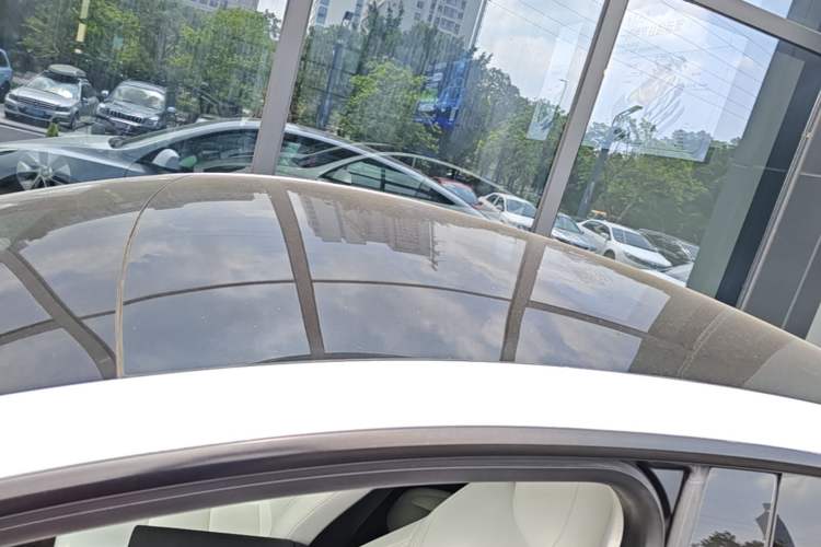 Used Tesla Model Y 2021 Long-Range All-Wheel-Drive Version Roof