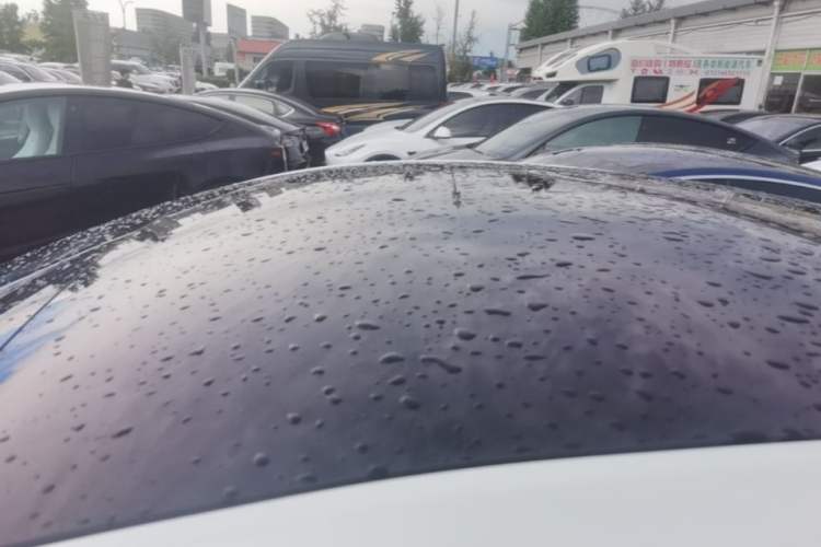 Used Tesla Model Y 2021 Long-Range All-Wheel-Drive Version Roof