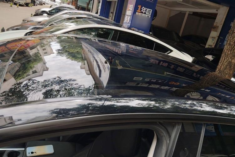 Used Tesla Model Y 2021 Long-Range All-Wheel-Drive Version Roof