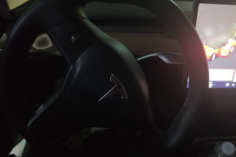 Used Tesla Model Y 2021 Standard Range Rear-Wheel Drive Version Steering Wheel