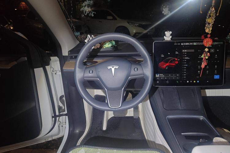 Used Tesla Model Y 2021 Standard Range Rear-Wheel Drive Version Steering Wheel