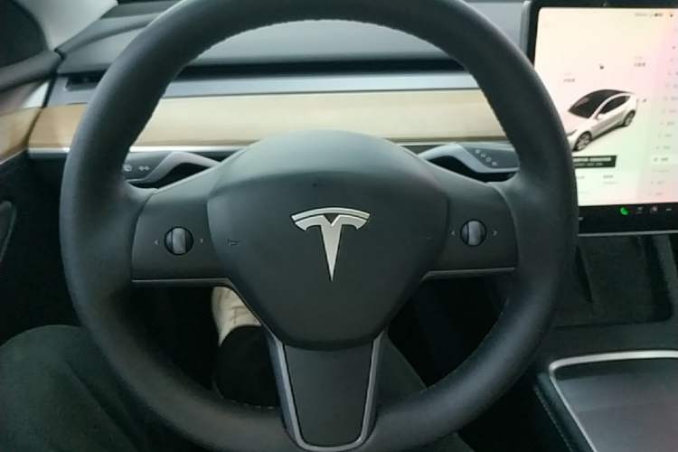 Used Tesla Model Y 2021 Standard Range Rear-Wheel Drive Version Steering Wheel