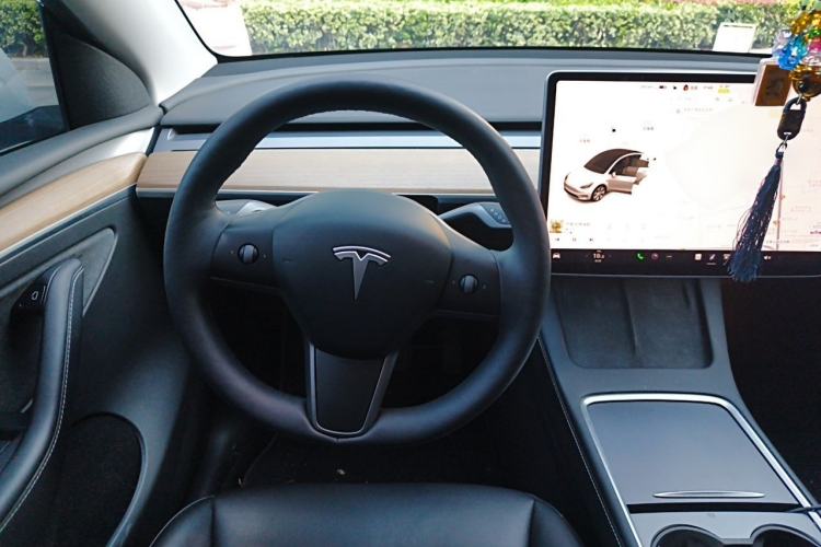 Used Tesla Model Y 2021 Standard Range Rear-Wheel Drive Version Steering Wheel