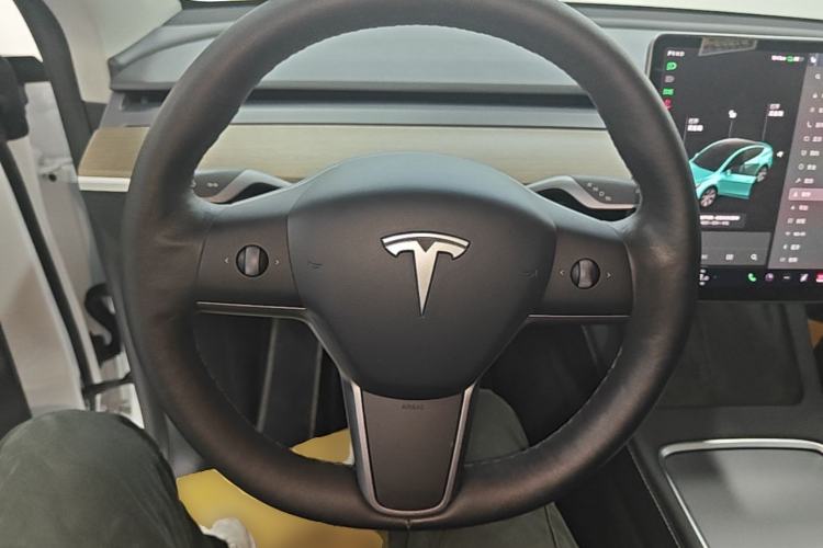 Used Tesla Model Y 2021 Standard Range Rear-Wheel Drive Version Steering Wheel