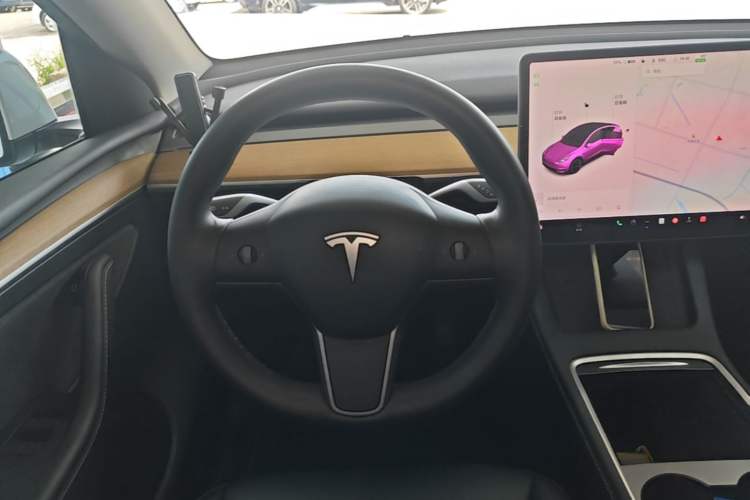 Used Tesla Model Y 2021 Standard Range Rear-Wheel Drive Version Steering Wheel