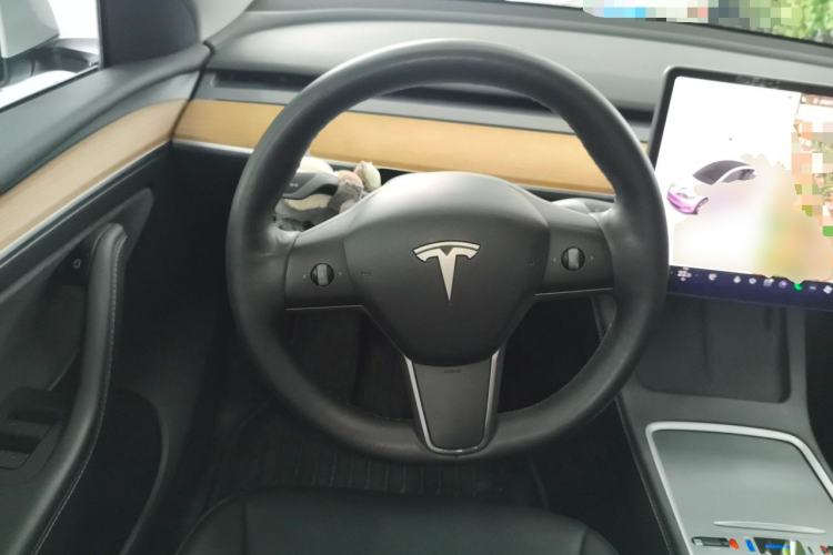 Used Tesla Model Y 2021 Standard Range Rear-Wheel Drive Version Steering Wheel