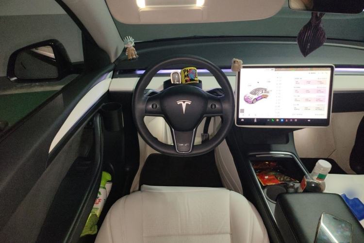 Used Tesla Model Y 2021 Standard Range Rear-Wheel Drive Version Steering Wheel