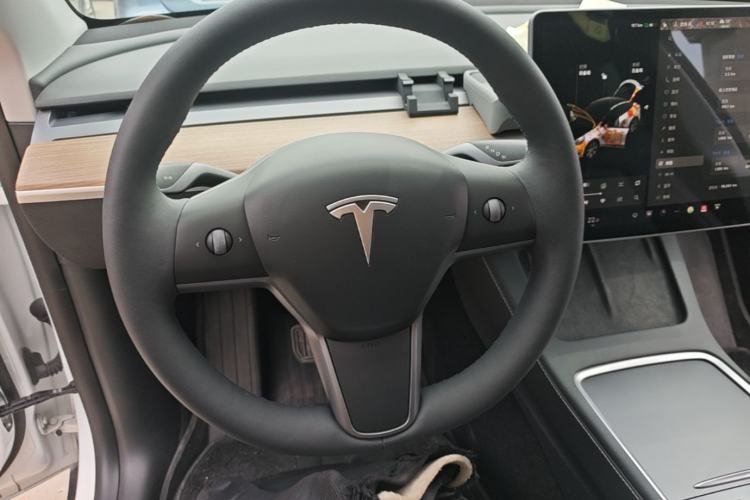 Used Tesla Model Y 2021 Standard Range Rear-Wheel Drive Version Steering Wheel