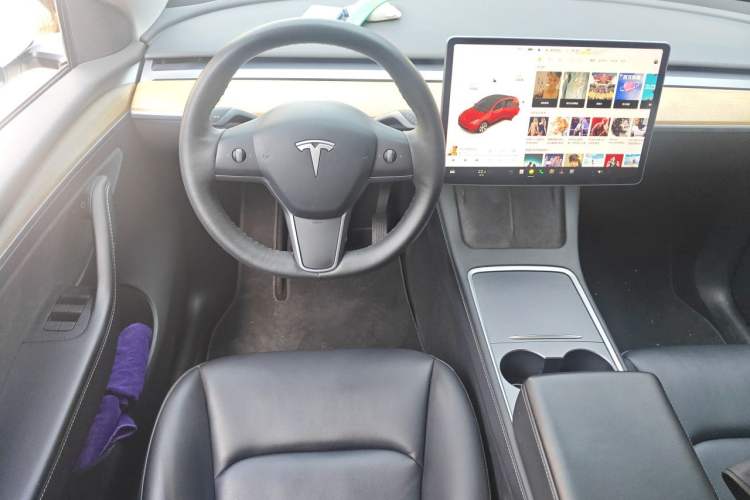 Used Tesla Model Y 2021 Standard Range Rear-Wheel Drive Version Steering Wheel