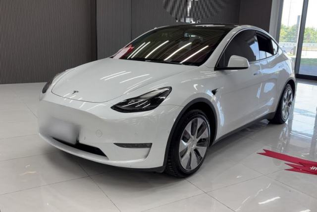 Used Tesla Model Y 2021 Standard Range Rear-Wheel Drive Version