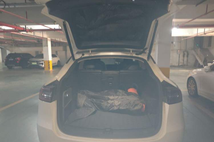 Used Tesla Model Y 2021 Standard Range Rear-Wheel Drive Version Trunk