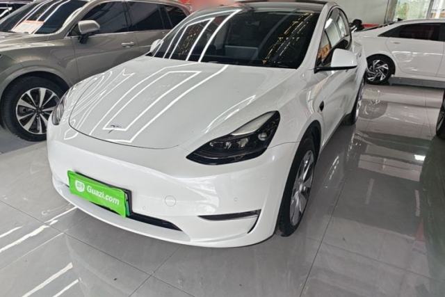 Used Tesla Model Y 2021 Standard Range Rear-Wheel Drive Version