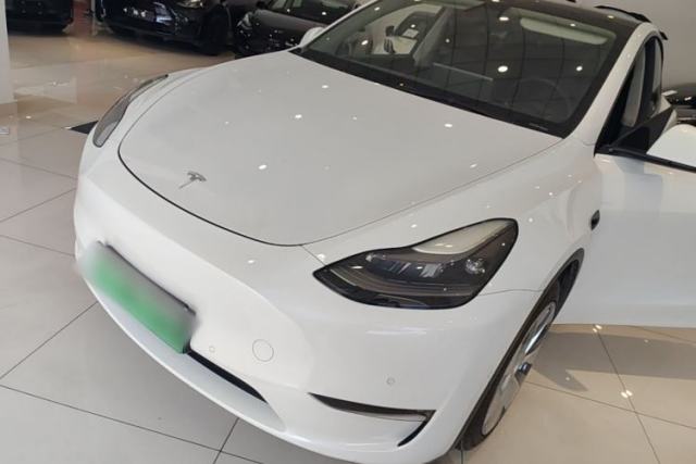 Tesla Model Y 2021 Standard Range Rear-Wheel Drive Version de segunda mano