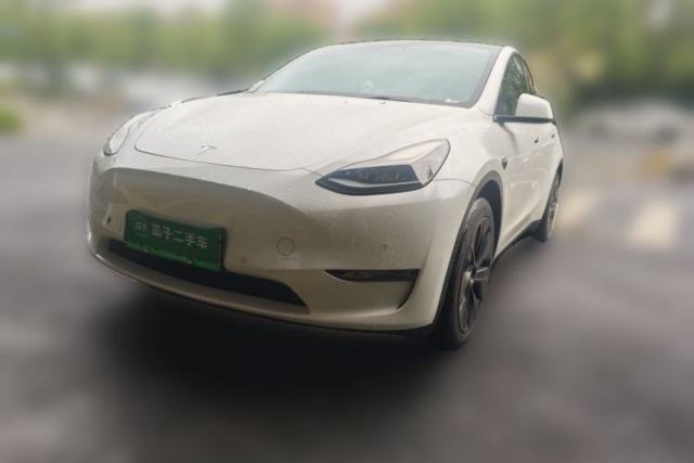 Tesla Model Y 2021 Standard Range Rear-Wheel Drive Version de segunda mano