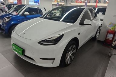 Used Tesla Model Y 2021 Long-Range All-Wheel-Drive Version 3D7