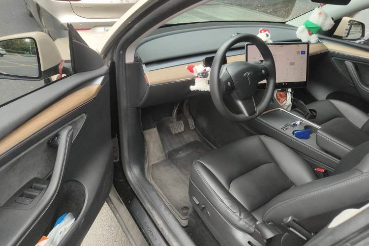 Used Tesla Model Y 2021 Standard Range Rear-Wheel Drive Version Driver Seat