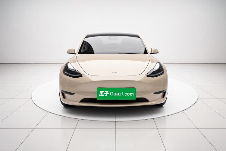 Used Tesla Model Y 2021 Standard Range Rear-Wheel Drive Version Exterior 1