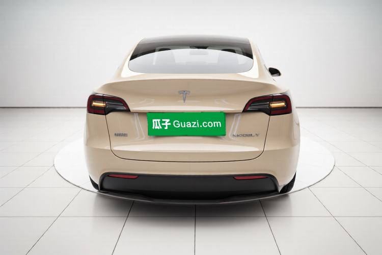 Used Tesla Model Y 2021 Standard Range Rear-Wheel Drive Version Exterior 4