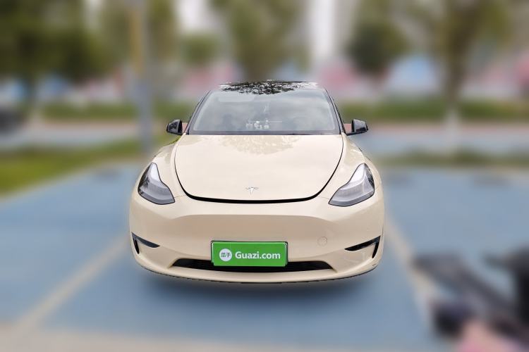 Used Tesla Model Y 2021 Standard Range Rear-Wheel Drive Version Front