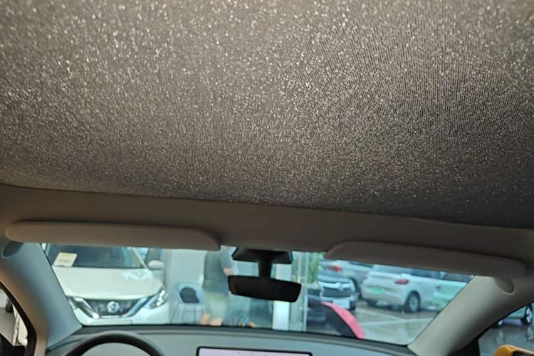 Used Tesla Model Y 2021 Long-Range All-Wheel-Drive Version Headliner