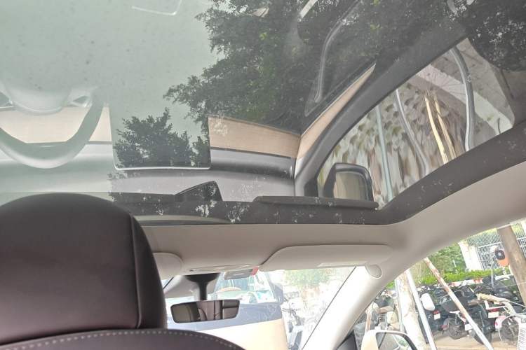 Used Tesla Model Y 2021 Standard Range Rear-Wheel Drive Version Headliner