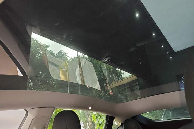 Used Tesla Model Y 2021 Long-Range All-Wheel-Drive Version Headliner