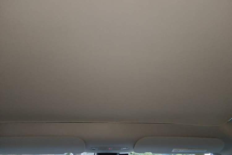 Used Tesla Model Y 2021 Standard Range Rear-Wheel Drive Version Headliner