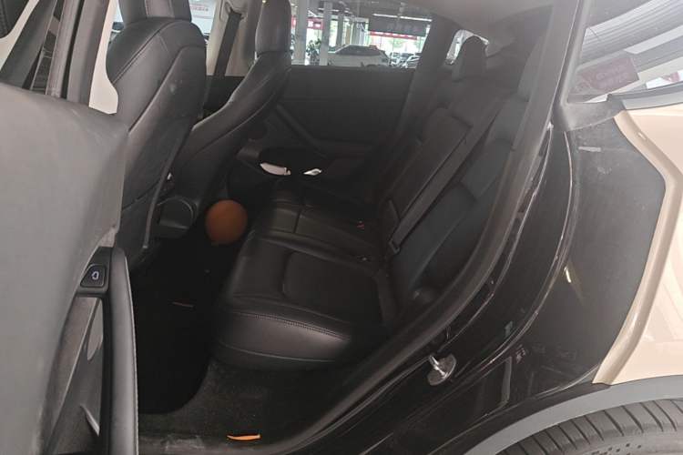Used Tesla Model Y 2021 Standard Range Rear-Wheel Drive Version Left Rear Seat