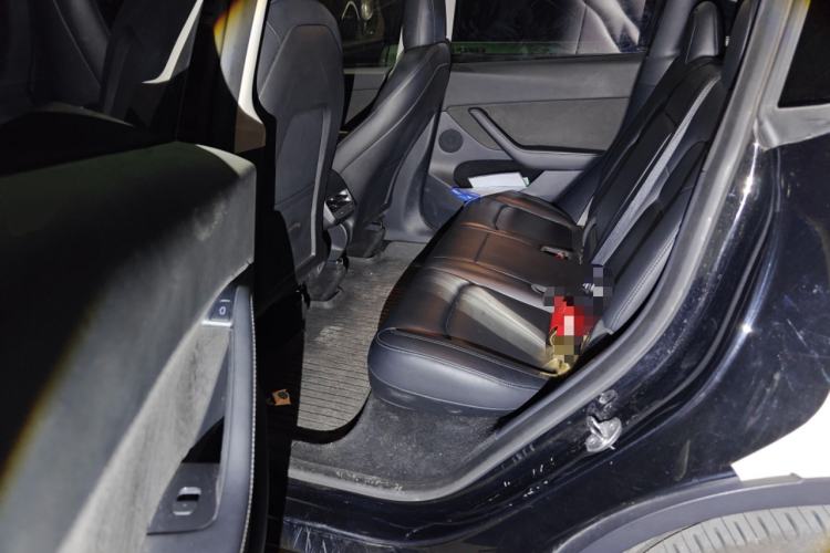 Used Tesla Model Y 2021 Standard Range Rear-Wheel Drive Version Left Rear Seat
