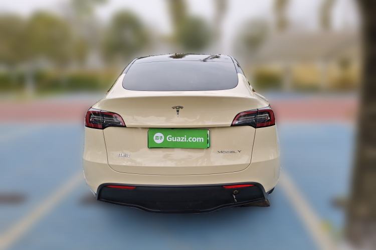 Used Tesla Model Y 2021 Standard Range Rear-Wheel Drive Version Rear