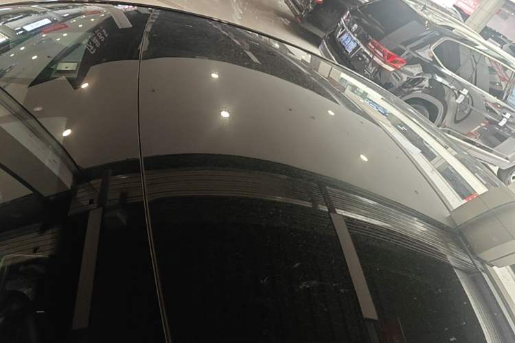 Used Tesla Model Y 2021 Standard Range Rear-Wheel Drive Version Roof
