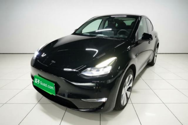 Tesla Model Y 2022 Revised Version Long-Range All-Wheel Drive usado