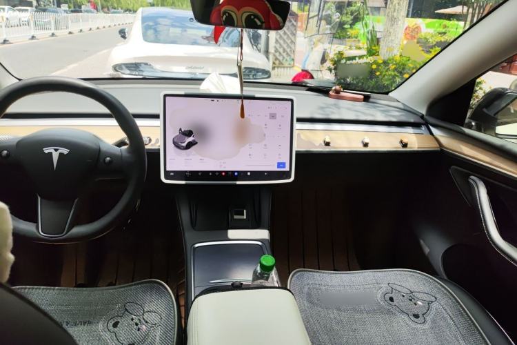 Used Tesla Model Y 2022 Revised Version Rear-Wheel Drive Center Console